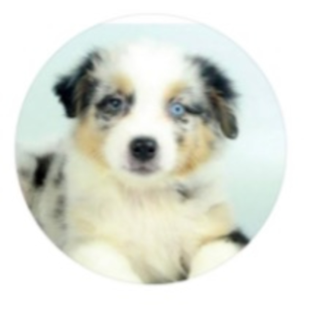 Meet your Posher, Nevaeh